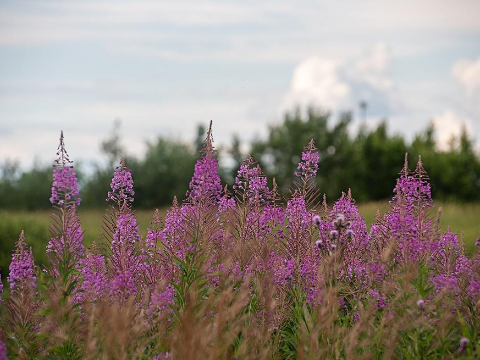 Ac3- buy lot 
saint malo
 1761698564 Ac3- buy lot 
saint malo
 1761698564