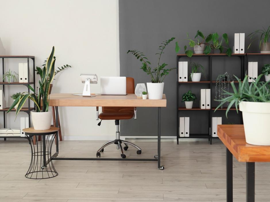 Ac3- vente local_professionnel
vannes
1751067319 Ac3- vente local_professionnel
vannes
1751067319