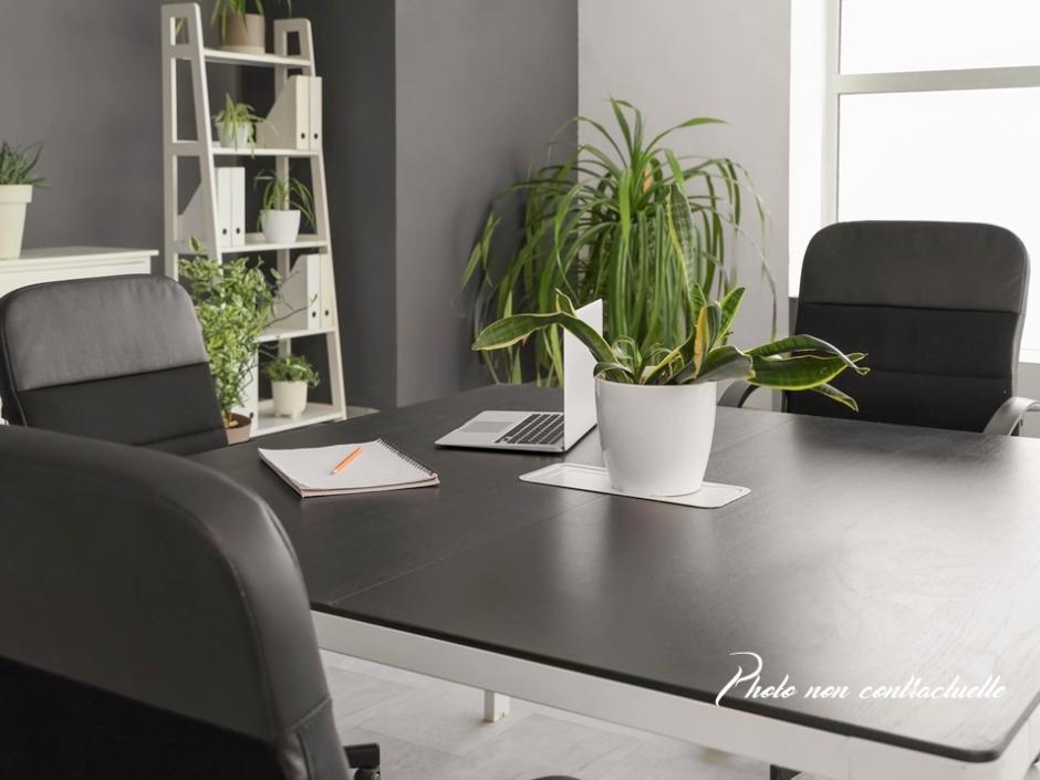 Ac3- vente local_professionnel
vitre
1746833768 Ac3- vente local_professionnel
vitre
1746833768
